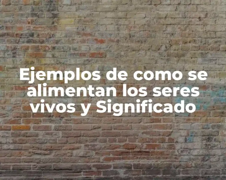 Ejemplos de como se alimentan los seres vivos y Significado