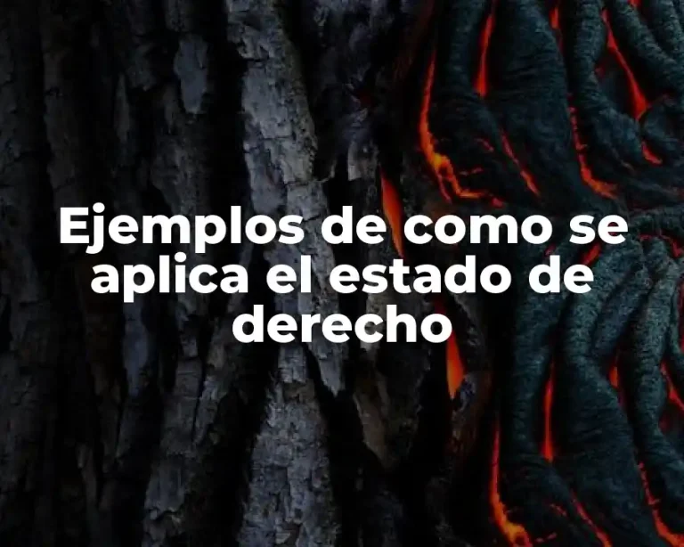 Ejemplos de como se aplica el estado de derecho