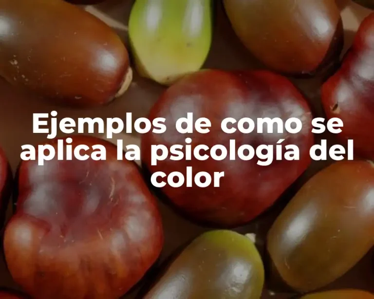 Ejemplos de como se aplica la psicología del color
