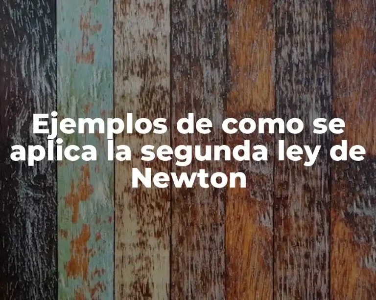 Ejemplos de como se aplica la segunda ley de Newton