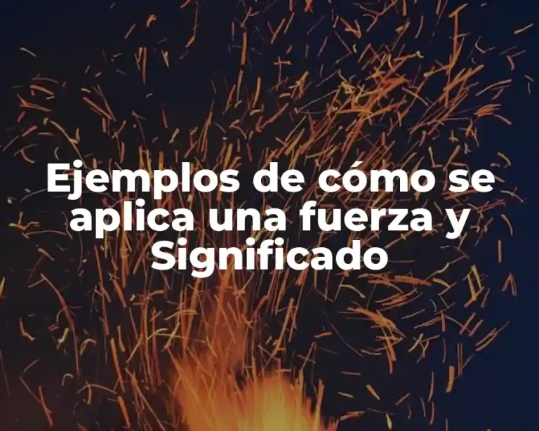 Ejemplos de cómo se aplica una fuerza y Significado
