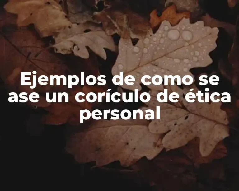 Ejemplos de como se ase un corículo de ética personal
