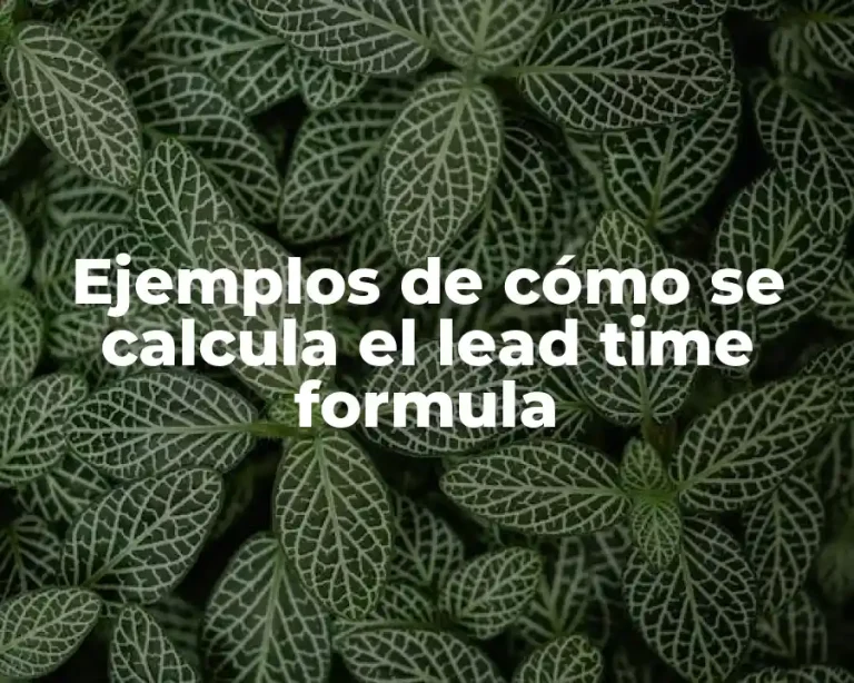 Ejemplos de cómo se calcula el lead time formula