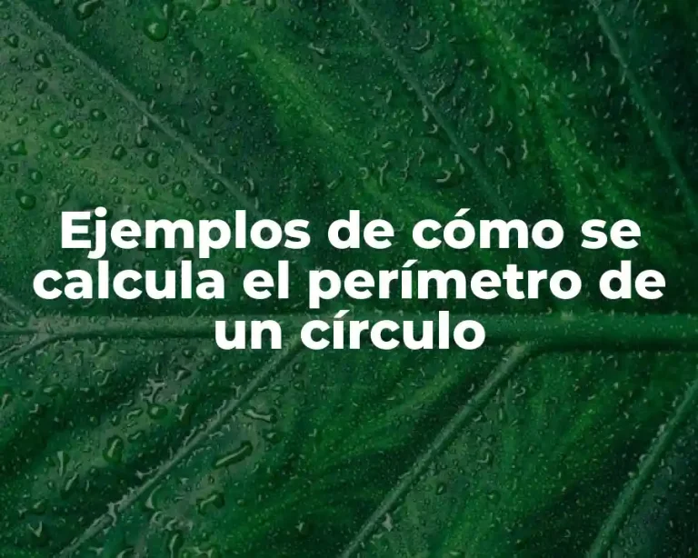 Ejemplos de cómo se calcula el perímetro de un círculo