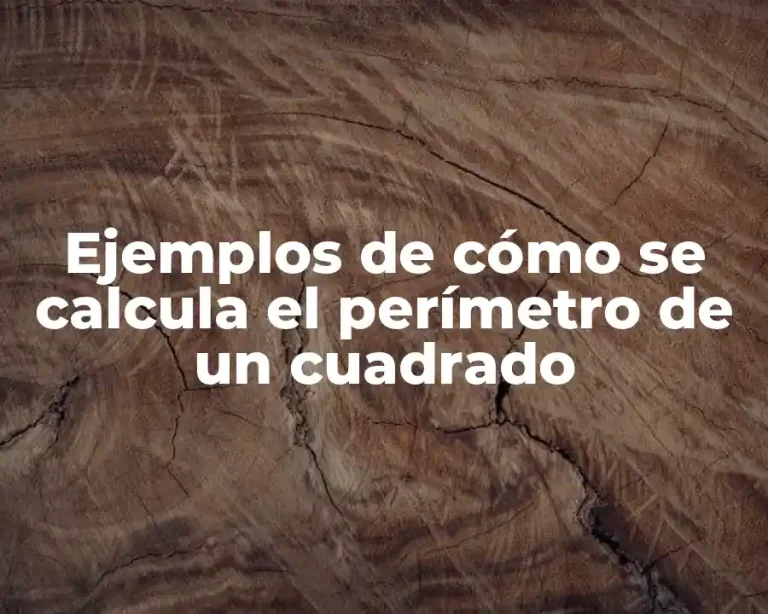 Ejemplos de cómo se calcula el perímetro de un cuadrado