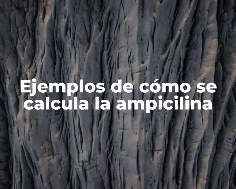 Ejemplos de cómo se calcula la ampicilina