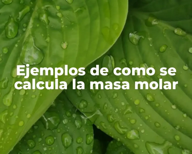 Ejemplos de como se calcula la masa molar