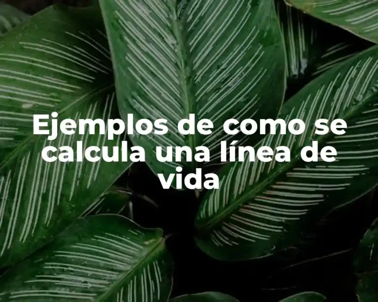 Ejemplos de como se calcula una línea de vida