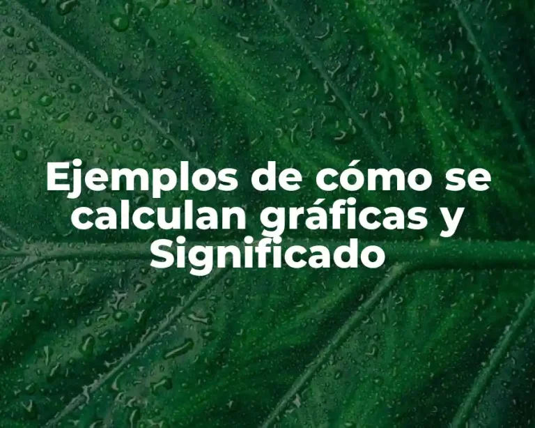 Ejemplos de cómo se calculan gráficas y Significado