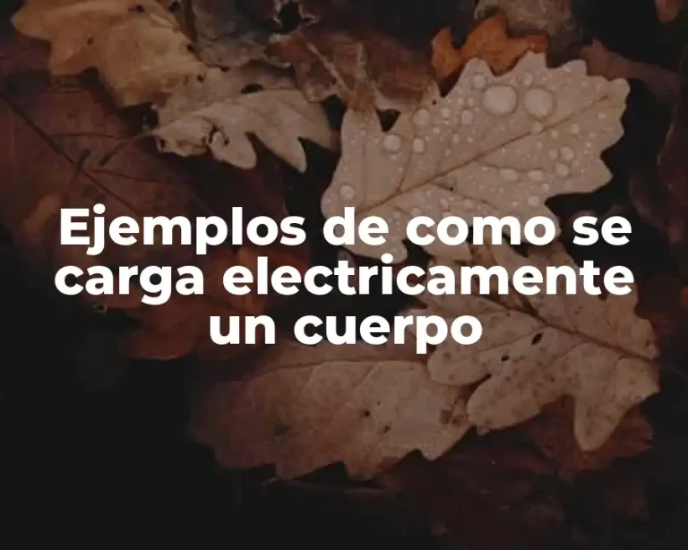 Ejemplos de como se carga electricamente un cuerpo