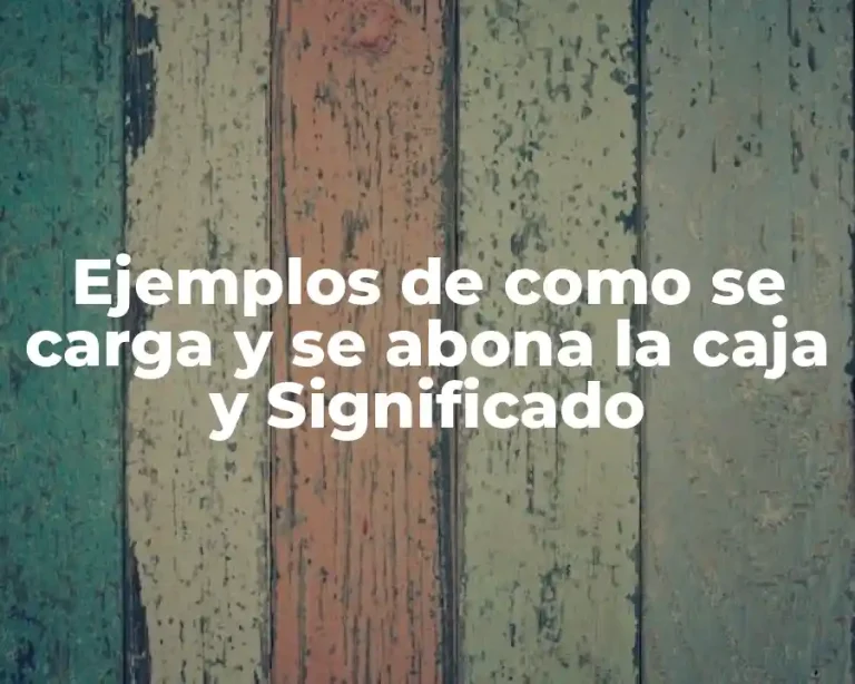 Ejemplos de como se carga y se abona la caja y Significado