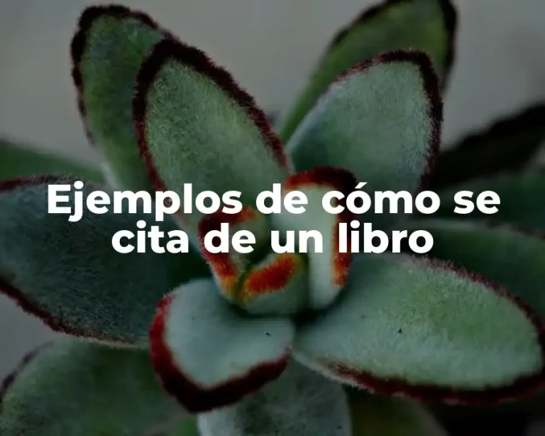 Ejemplos de cómo se cita de un libro