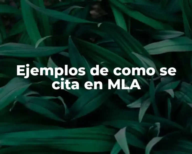 Ejemplos de como se cita en MLA