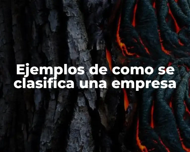 Ejemplos de como se clasifica una empresa