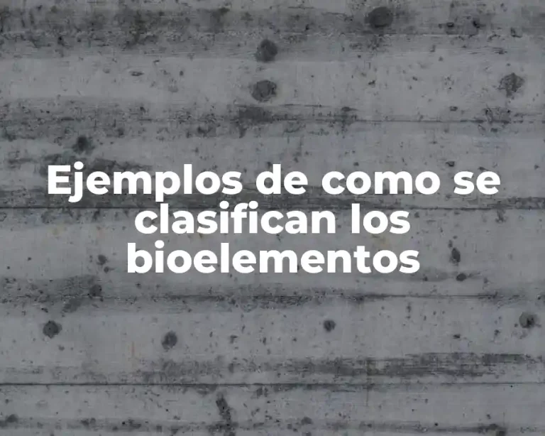 Ejemplos de como se clasifican los bioelementos