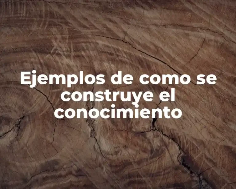 Ejemplos de como se construye el conocimiento