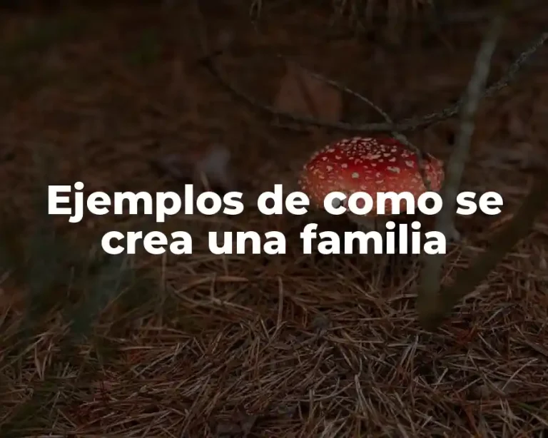 Ejemplos de como se crea una familia