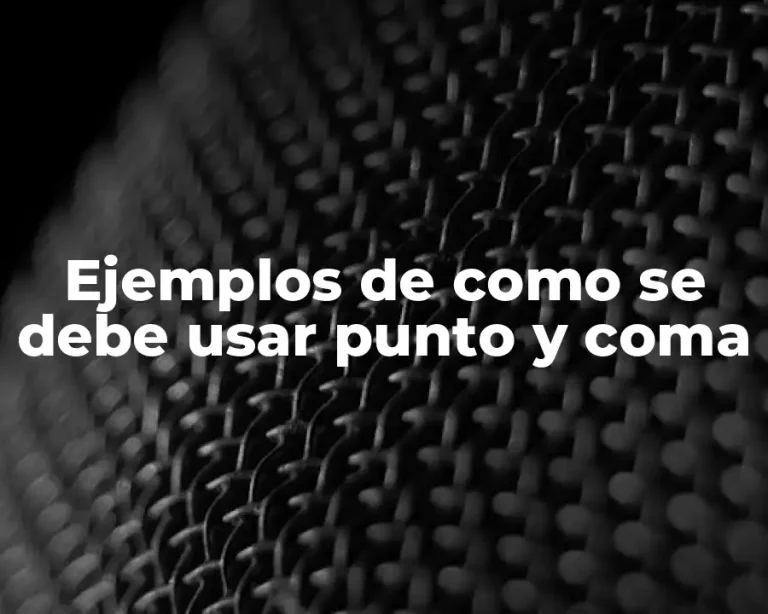 Ejemplos de como se debe usar punto y coma