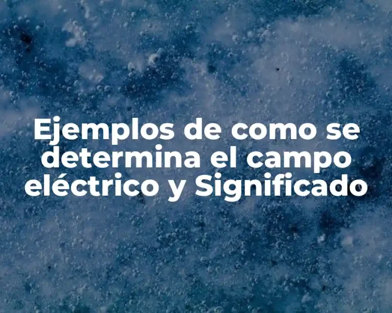 Ejemplos de como se determina el campo eléctrico y Significado