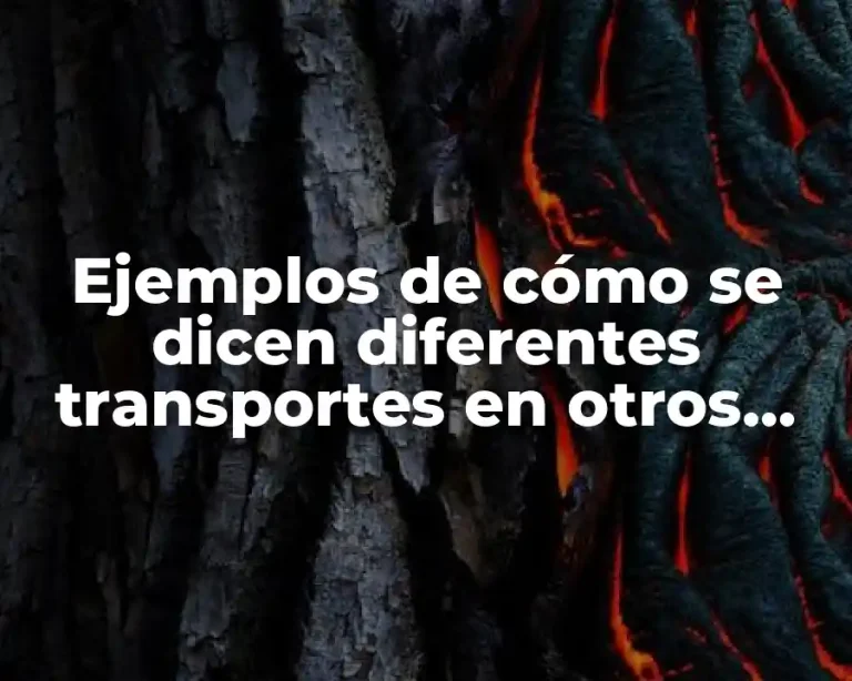 Ejemplos de cómo se dicen diferentes transportes en otros países
