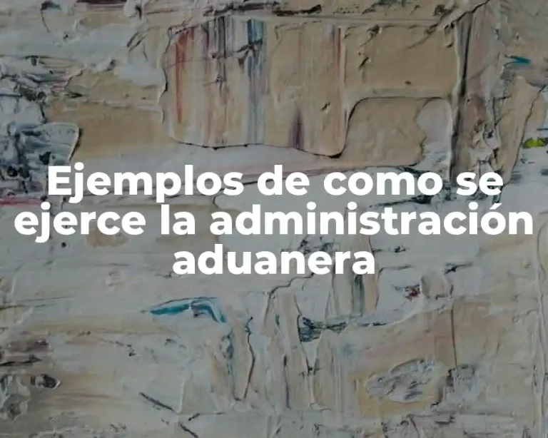 Ejemplos de como se ejerce la administración aduanera