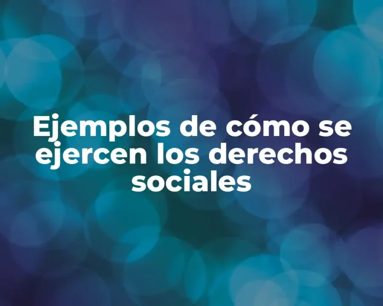 Ejemplos de cómo se ejercen los derechos sociales