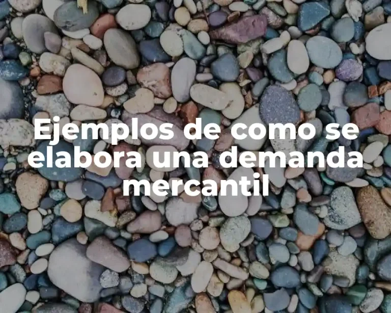 Ejemplos de como se elabora una demanda mercantil