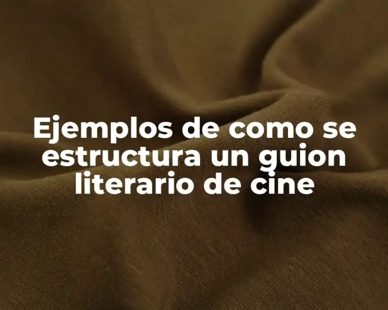 Ejemplos de como se estructura un guion literario de cine