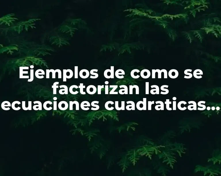 Ejemplos de como se factorizan las ecuaciones cuadraticas y Significado