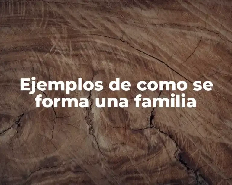 Ejemplos de como se forma una familia
