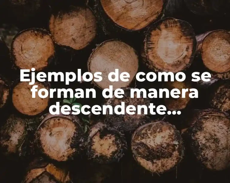 Ejemplos de como se forman de manera descendente matemática