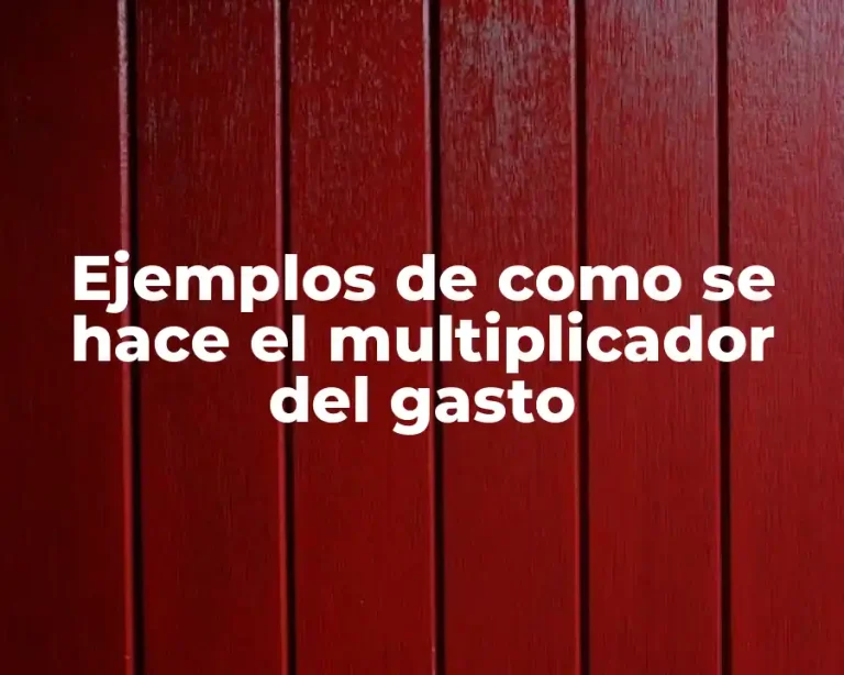 Ejemplos de como se hace el multiplicador del gasto