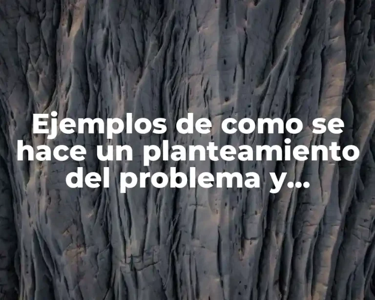 Ejemplos de como se hace un planteamiento del problema y Significado