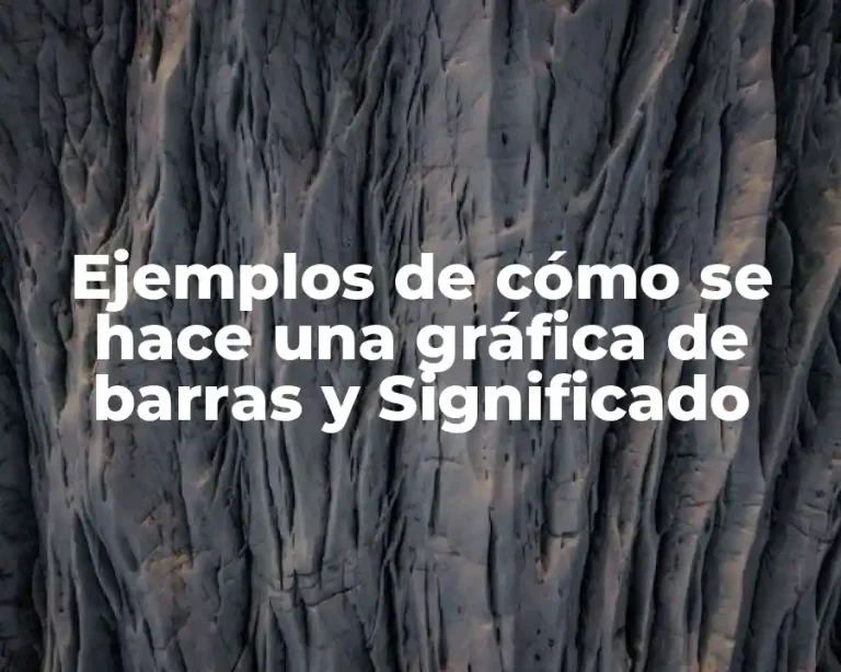 Ejemplos de cómo se hace una gráfica de barras y Significado