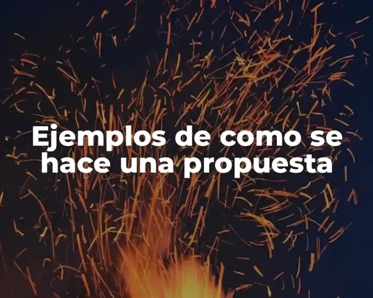 Ejemplos de como se hace una propuesta
