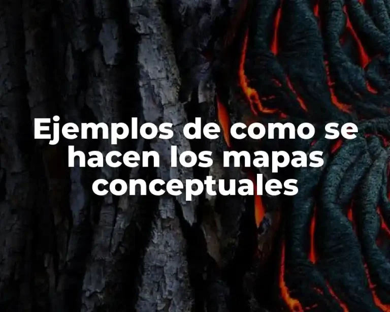Ejemplos de como se hacen los mapas conceptuales