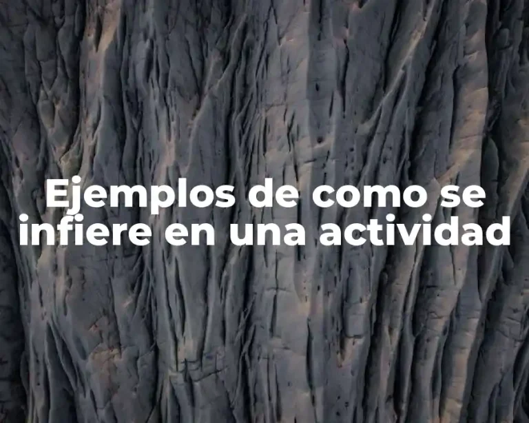 Ejemplos de como se infiere en una actividad