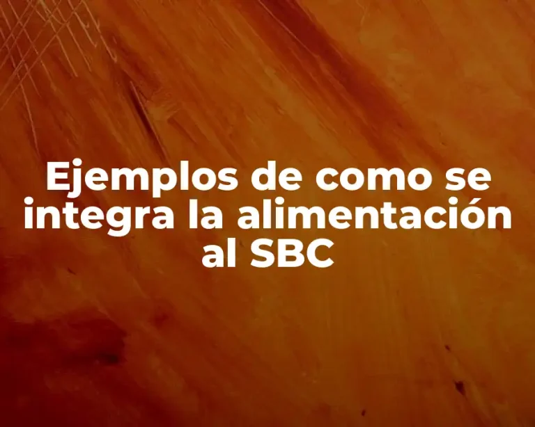 Ejemplos de como se integra la alimentación al SBC