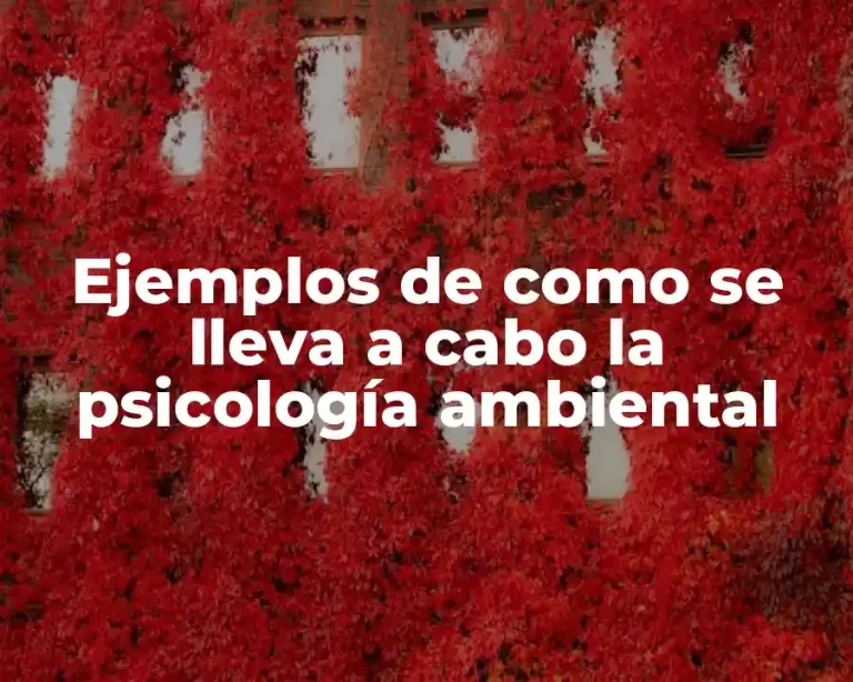 Ejemplos de como se lleva a cabo la psicología ambiental
