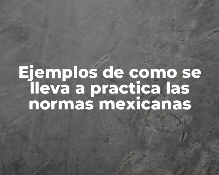 Ejemplos de como se lleva a practica las normas mexicanas