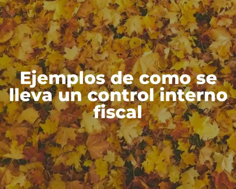 Ejemplos de como se lleva un control interno fiscal