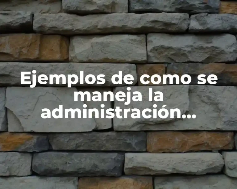 Ejemplos de como se maneja la administración sencillos y Significado
