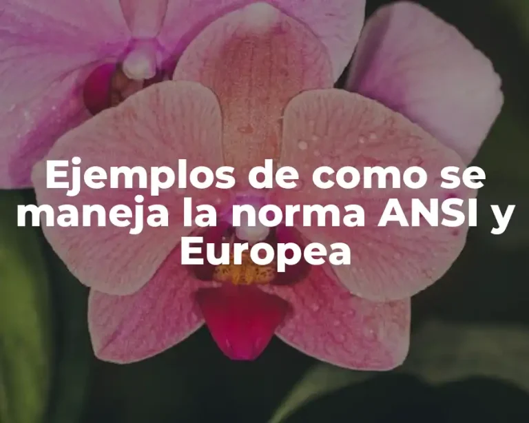 Ejemplos de como se maneja la norma ANSI y Europea