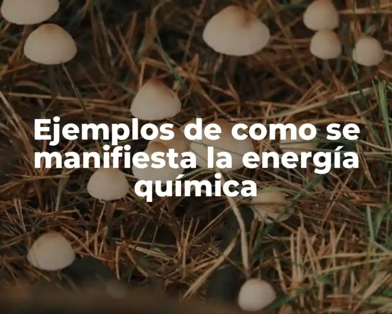 Ejemplos de como se manifiesta la energía química