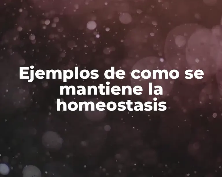 Ejemplos de como se mantiene la homeostasis