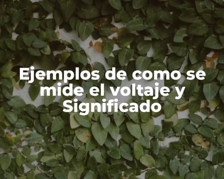 Ejemplos de como se mide el voltaje y Significado