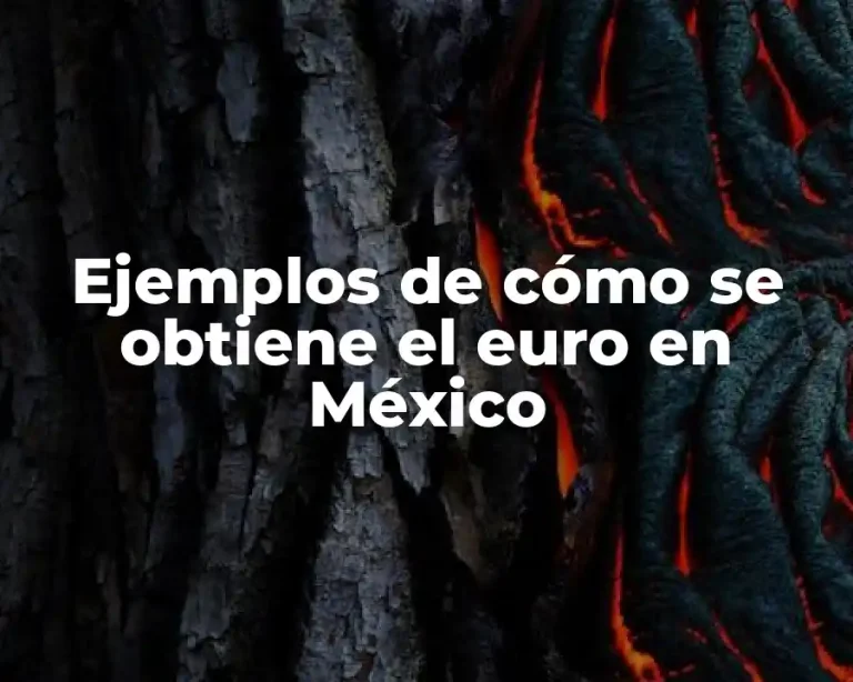 Ejemplos de cómo se obtiene el euro en México