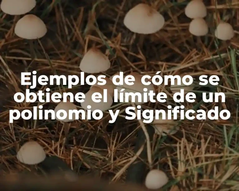 Ejemplos de cómo se obtiene el límite de un polinomio y Significado