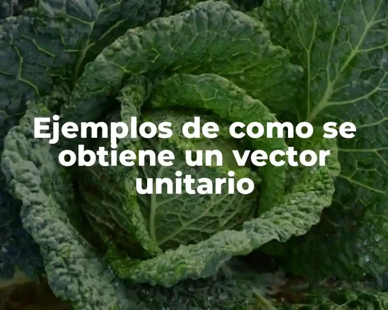 Ejemplos de como se obtiene un vector unitario