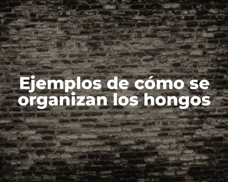 Ejemplos de cómo se organizan los hongos